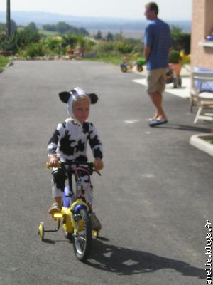 Avez-vous déjà vu une vache sur un vélo? Les grands-mères, oui!